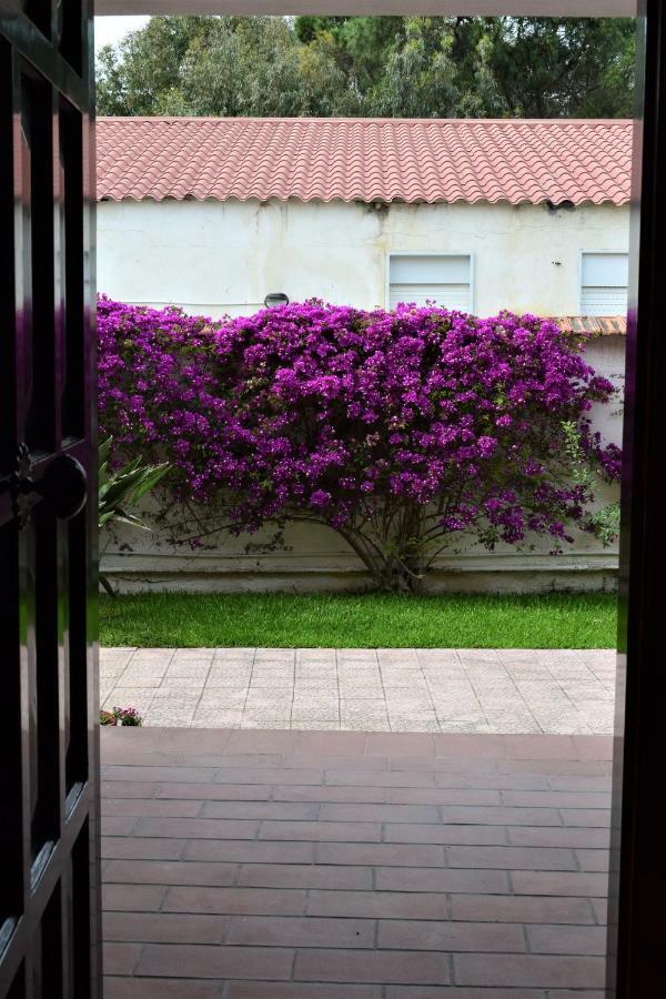 Casa Bedda Lägenhet Agnone Bagni Exteriör bild