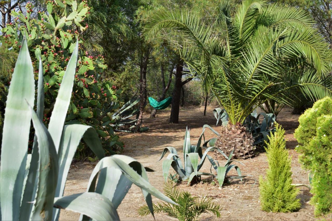 Casa Bedda Lägenhet Agnone Bagni Exteriör bild
